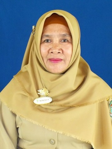 Dra Nursida Aliasri